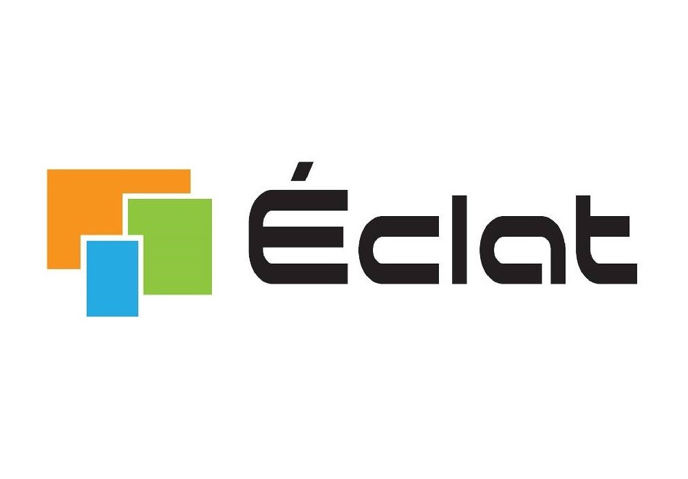 Technology partner
